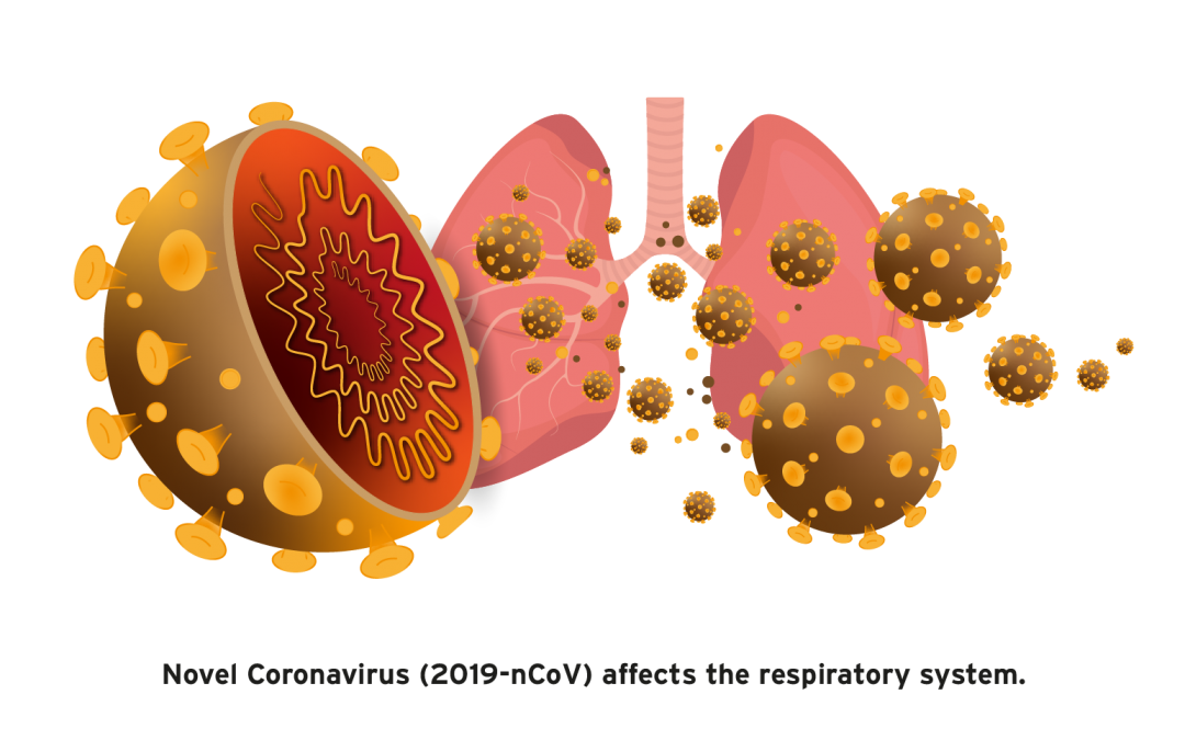 Understanding Coronavirus